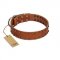 "Star Light" Stylish FDT Artisan Tan Leather Siberian Husky Collar with Silver-Like Studs