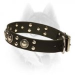 Siberian Husky Dog Collar with Conchos & Studs