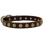 Modish Leather Siberian Husky Collar with Brass Dotted Circles