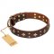 'High Fashion' FDT Artisan Embellished Brown Leather Siberian Husky Collar