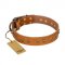 "Autumn Story" FDT Artisan Leather Siberian Husky Collar with Old Bronze Look Studs