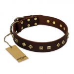 "Fashion Studs" FDT Artisan Decorated Leather Siberian Husky Collar with Old Bronze-Plated Steel Hardware