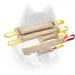 Training Set of Jute for Adult Siberian Husky