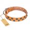 "Precious Sparkle" FDT Artisan Tan Leather Siberian Husky Collar with Vintage Decorations
