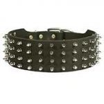 Leather Spiked Siberian Husky Collar for Walking