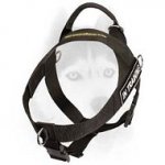 Nylon harness for Siberian Husky with ID-patches
