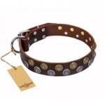 'Strong Shields' Decorated FDT Artisan Brown Leather Siberian Husky Collar - 1 1/2 inch (40 mm) wide
