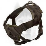 Super safe new design nylon harness for more comfort of your Siberian Husky