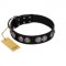 "Magic Amulete" Handcrafted FDT Artisan Black Leather Siberian Husky Collar with Chrome-Plated Shields