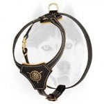 Royal Nappa padding leather harness for Siberian Husky