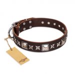 'Perfect Impression' FDT Artisan Siberian Husky Brown Leather Dog Collar with Silvery Square Studs - 1 1/2 inch (40 mm) Wide