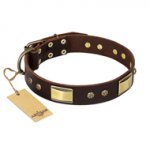 "Rich Fashion" FDT Artisan Decorated Leather Siberian Husky Collar with Plates and Studs