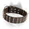 2 Inch Wide Leather Spiked Dog Collar for Siberian Husky