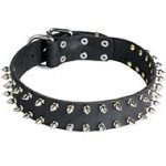 Leather Siberian Husky Collar with 2 Rows of Spikes