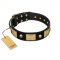 "Black Corsair" FDT Artisan Leather Siberian Husky Collar with Old Bronze-like Skulls and Plates