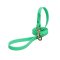Green Waterproof Siberian Husky Leash Made of Biothane