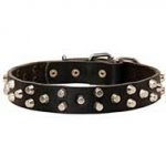 Fashion Leather Siberian Husky Collar with Studs / Pyramids