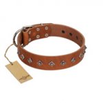 "Broadway" Handmade FDT Artisan Tan Leather Siberian Husky Collar with Dotted Pyramids