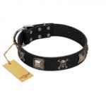 "Sea Rover" Embellished FDT Artisan Black Leather Siberian Husky Collar with Chrome Plated Crossbones and Plates