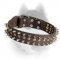 Unbelievable Leather Collar for Siberian Husky
