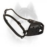Easy adjustable Siberian Husky leather muzzle