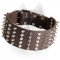 Leather Siberian Husky Collar with Nickel Pyramids and Spikes