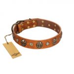 "Call of Feat" FDT Artisan Tan Leather Siberian Husky Collar with Old Bronze-like Studs and Oval Brooches