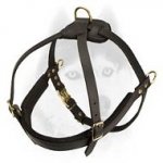 Multi-task leather pulling harness for Siberian Husky