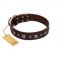 "Stellar Fairy " FDT Artisan Brown Leather Siberian Husky Collar with Chrome-plated Star-like Decorations