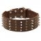 Extra Wide Leather Siberian Husky Collar with Studs and Spikes