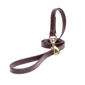 Brown Waterproof Siberian Husky Leash Made of Biothane