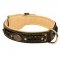 Nappa Padded Leather Siberian Husky Collar - Exclusive Design