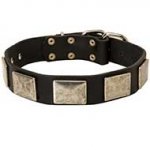 Brilliant Leather Siberian Husky Collar with Nickel Plates