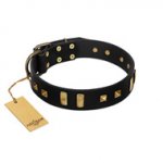 "Fit for Royalty" FDT Artisan Black Leather Siberian Husky Collar with Plates and Small Square Studs