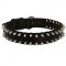 All Weather Nylon Siberian Husky Collar with Nickel Spikes