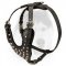 Stylish Studded Leather Dog Harness for Siberian Husky