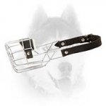'The Silencer' Light weight comfortable wire basket muzzle for your Siberian Husky
