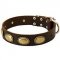 Marvelous Leather Siberian Husky Collar With Vintage Oval Plates for Walking