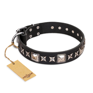 'Space Walk' FDT Artisan Black Leather Siberian Husky Collar with Adornments