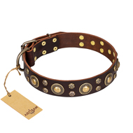 'Flower Melody' FDT Artisan Brown Leather Siberian Husky Collar with Mixed Studs