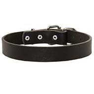 Everyday Leather Siberian Husky Collar for Daily Usage