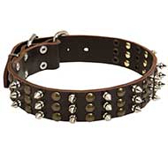 Incredible Leather Siberian Husky Collar with Studs and Spikes for Fashionable Walking