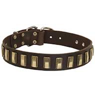 Wonderful Siberian Husky Leather Collar Decorated With Brass Plates