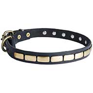 Fashionable Leather Siberian Husky Collar with Brass Plates