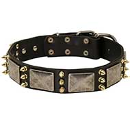 Gorgeous Wide Leather Siberian Husky Collar with Plates and Spikes