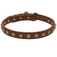 Handmade Leather Siberian Husky Collar with Brass Studs Made in Caterpillar Style