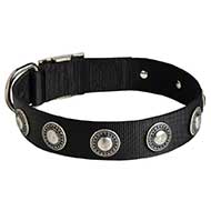 Nylon Siberian Husky Collar with Silver Conchos for Walking and Training