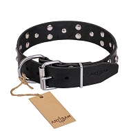 FDT Artisan 'Mystic Skulls' Decorated Leather Siberian Husky Dog Collar with Skulls and Studs 1 1/2 inch (40 mm)