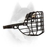 Winter wire basket muzzle for Siberian Husky