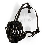 Everyday Perfect Air Ventilation Muzzle for Siberian Husky